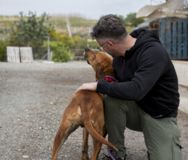 Pictures from the Argos Animal Sanctuary in Cyprus