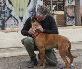 Pictures from the Argos Animal Sanctuary in Cyprus