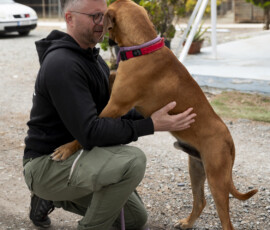 Pictures from the Argos Animal Sanctuary in Cyprus