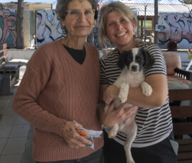 Pictures from the Argos Animal Sanctuary in Cyprus