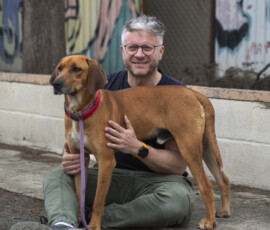 Pictures from the Argos Animal Sanctuary in Cyprus