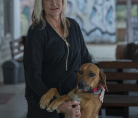 Pictures from the Argos Animal Sanctuary in Cyprus