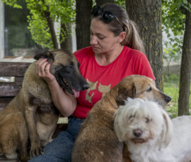 Tiere in Vikis Shelter in Nordmazedonien
