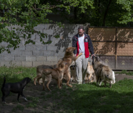 Tiere in Vikis Shelter in Nordmazedonien