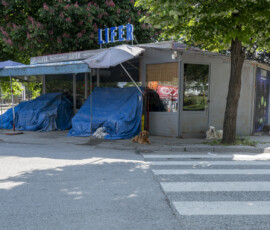 Tiere in Vikis Shelter in Nordmazedonien