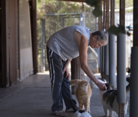 Pictures from the Argos Animal Sanctuary in Cyprus