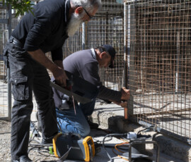Pictures from the Argos Animal Sanctuary in Cyprus